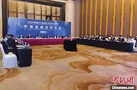 中英氢能合作论坛武汉开幕