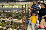 蘑菇也能吸引游客？海口乡村开辟特色研学游获青睐
