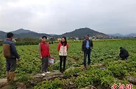 福建漳州：引金融“活水”精准灌溉“田间地头”