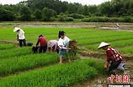 安徽黄山新农人开辟新型公益田园