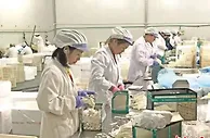 【十年@每一个奋斗的你】福建古田：“光伏+”“数字化”赋能食用菌产业发展