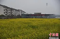浙江缙云新建镇乡村振兴“突围”镇域共富