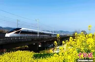 西安局重联多趟动车组 开行高铁“赏花”列车