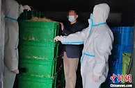 加大保护消费者权益力度 上海公布一批消费者投诉处置典型案例