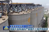 我国大豆和油料产能提升工程开局良好