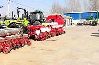 泰安种植户探索玉米大豆套种“新模式” 解决“争地”难题