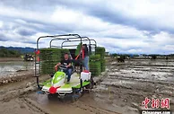 “粮食生产大县”湖南东安：今年粮食总产量预计逾38万吨