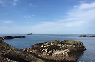 浙江乡村以何共富？绿色为底 “数”“智”并行