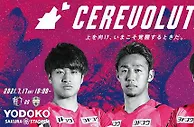 分析 | J1：神户胜利船冲击大阪樱花