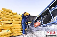 哈尔滨铁路多环节保障春耕化肥运输畅通