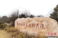 江苏阜宁黄河故道：“红+绿”跑出乡村振兴“加速度”