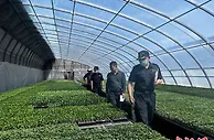 甘肃河西走廊前4月出口种子逾2亿元 市场拓至40余国或地区