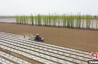 新疆巴州300余万亩棉花春播忙