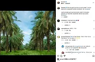 打抱不平????梅西社媒遭刷屏：不必向巴黎这个狗X队道歉