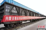 综述：疫情之下，“激活”北疆外贸节奏的中欧班列
