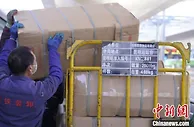 云南鲜花畅销全国 高铁承运猛增900%
