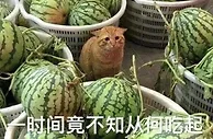 ⚽????足篮负面不断，吴兴涵、赌球假球、李梦.... ????