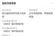 网红主播雪梨成被执行人 90万元股权遭冻结