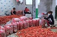 “小村庄”到“大市场”：陕西特色产业助推乡村振兴