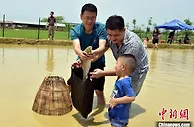 “五一”假期广东游客以本地游、周边游为主