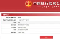贾跃亭新增恢复执行案件 执行标的超10亿元