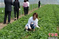 内蒙古新农人巧用“新农具”为乡村注入“新活力”
