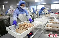 边城珲春借港扬帆助老工业基地阔步“深蓝”