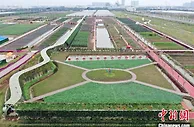 广州耗资数十亿元建农业公园 让民众在城市体验田园之乐