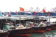 广西谋篇布局向海经济 探索建立中国—东盟海洋产业联盟