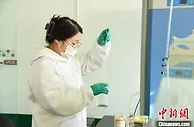 山东烟台发展海洋新型肥料产业 给粮食吃上“蓝色”营养餐