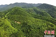 广东20个省级森林生态综合示范园建成开放