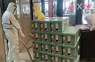 “抗疫保供”中的企业力量 绿地全力支援抗疫攻坚一线