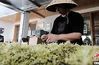 （十年@每一个奋斗的你）浙江新农人10年种植记：加入区域公用品牌告别单打独斗