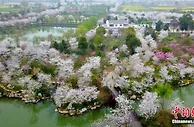 旅游绿皮书：微度假旅游逐渐成为游客首选出行模式