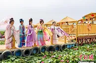 新疆博湖县睡莲花开助力第一届莲花旅游季