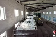 中欧班列“东通道”助力春耕物资运输“加速度”