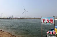 探访江苏盐城蟹苗基地：科技加持，“反季”大闸蟹爬上春夏餐桌