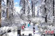 春节期间四川市场活跃 特色消费需求旺盛