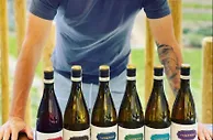 阿斯：大卫-席尔瓦拥有一家葡萄酒酒庄，今年的销量已超1万瓶
