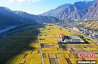 甘肃邀全国民企“陇南行”：风景与商机兼具