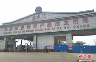 担心买不到菜？今天我们专门跑去北京新发地看了看