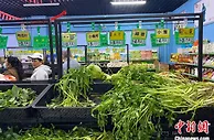海口春节菜价不再“高不可攀” 货足价稳更亲民