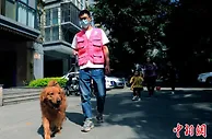 免费吸猫撸狗还能赚钱？新兴职业“宠护师”成都走俏