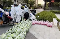 【上海战疫录】蔬菜团长、水果团长……因为感动而“热血开团”