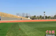 杭州亚运赛场的草为什么这么绿？记者实地探访