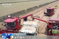 在希望的田野上·三夏时节：主产区小麦机收稳步推进
