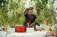 村庄富田野绿环境美 浙江南浔培育绿色“共富细胞”