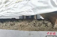 江西口岸首次在进境货运渠道截获土壤 已作退运处理