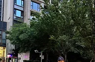 韦世豪晒个人武汉生活照：舒服的城市