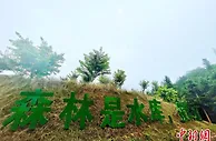 “点绿成金” 福建周宁走出生态富民路